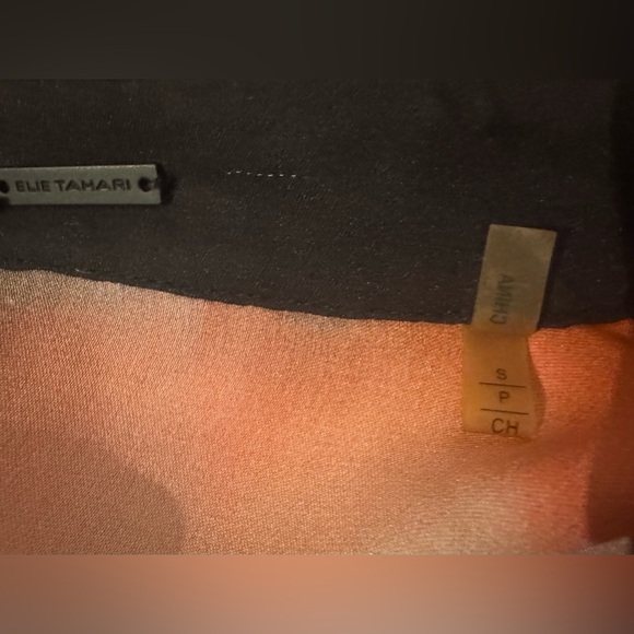 Elie Tahari Gracelynn Blouse Silk Sheer Poppy Abstract 90s Y2K Luxury Mod Sz SM - Picture 9 of 9